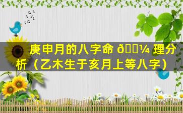 庚申月的八字命 🌼 理分析（乙木生于亥月上等八字）